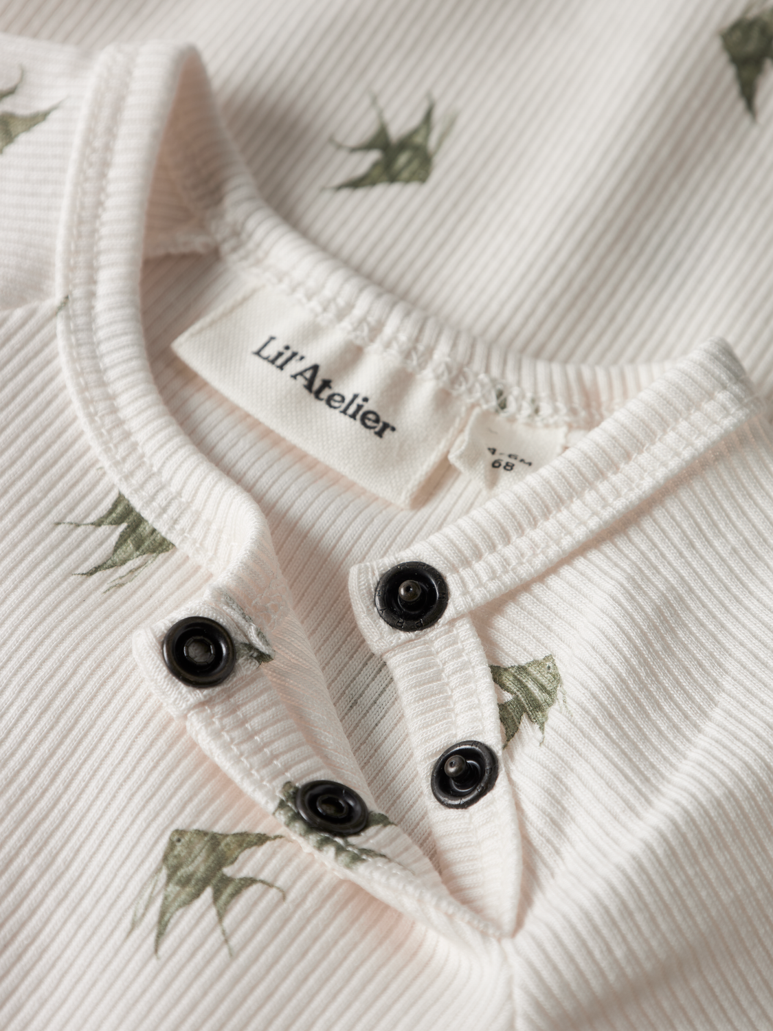 model_shot-front_full